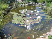 IMG_0038.webp