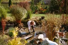 Abfischen0002.webp