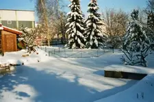Teichwinter0002.webp
