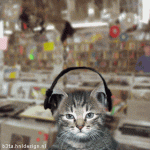 image001.gif