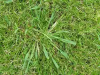 IMG_2712a.webp
