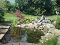 DSC00969.webp