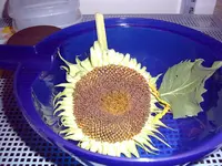 PIC_0003.webp