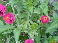 DSC00500.webp