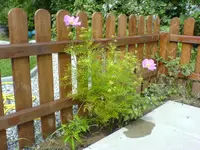 DSC00500.webp