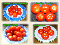 TOMATENMIX.webp