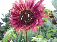 PIC_0008.webp