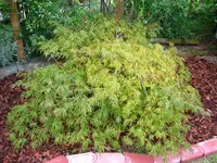 IMG_0045.webp