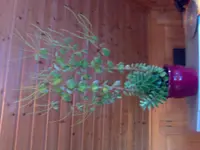 21092007644.webp