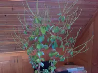 21092007645.webp