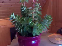 21092007646.webp