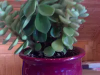 21092007648.webp