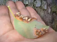 DSCF0007.webp