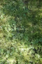 IMG_5193.webp
