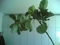 21092007.webp
