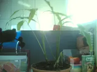 24092007(001).webp