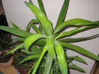 IMG_0473.webp