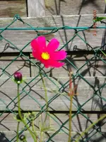 250907016.webp