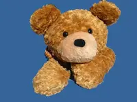 3570_520.webp