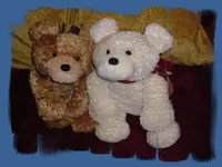 baer3.webp