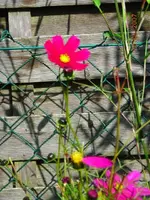 250907014.webp