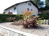 Haus8.webp