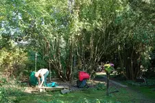 Flieder_09_07.webp