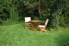 Flieder_09_07_02.webp