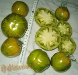 ©green zebra.JPG.webp