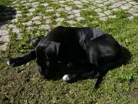 k2-Bild 030.webp