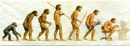evolution.webp