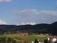 Haus4.webp
