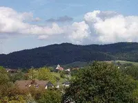 Haus3.webp