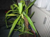 IMG_0575.webp