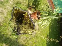 P9170041.webp