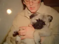 image003.webp