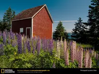 SP129_10.webp