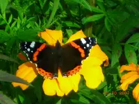 031007 015.webp