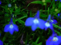031007 025.webp