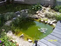 Teich.webp