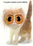 catonk.webp