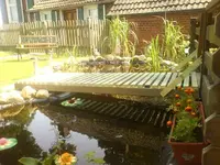 Bild 001-1.webp
