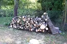 155_0863.webp