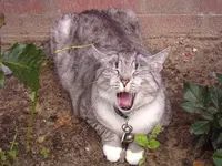 image001.webp