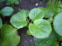 image001.webp