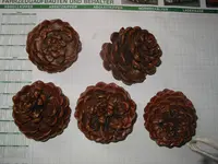 image1.webp