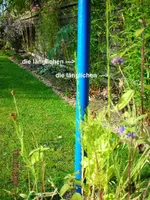 101007langblau1mittext.webp