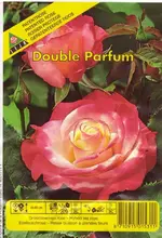 Rose Double-Parfume.webp