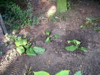 image001.webp