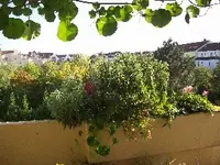 Balkonbrüstung im Herbst.webp